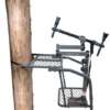 Bog Deadshot Treepod - Black