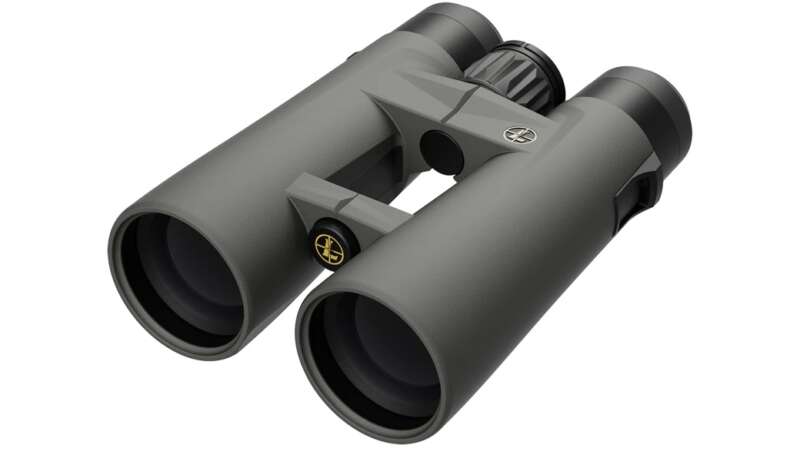 Leupold BX-4 10x50mm Binoculars
