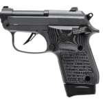 Beretta 20X Bobcat 22Lr BLK/Silver