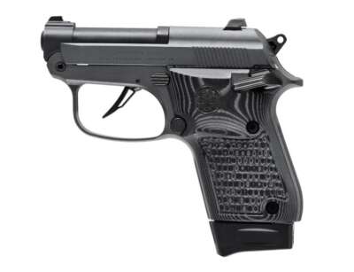 Beretta 20X Bobcat 22Lr BLK/Silver