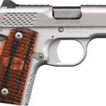 Kimber Micro 9mm 3.15" Ss Raptor