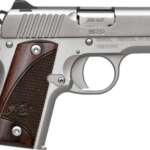 Kimber Micro Ss Rw 380 ACP 2.75" NS