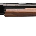 Winchester 20 Gauge 2.75"  Shotshells 25rd