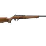 Winchester .22 LR  50rd