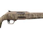 Winchester .22 LR  50rd
