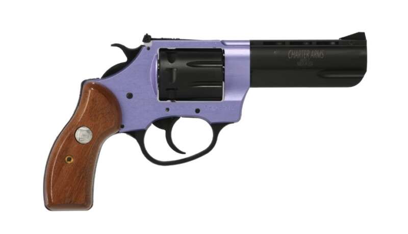 Charter Arms Pathfinder Ii 22Lr Lav/Wd 3.5"