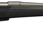 Winchester 350 Legend  50rd