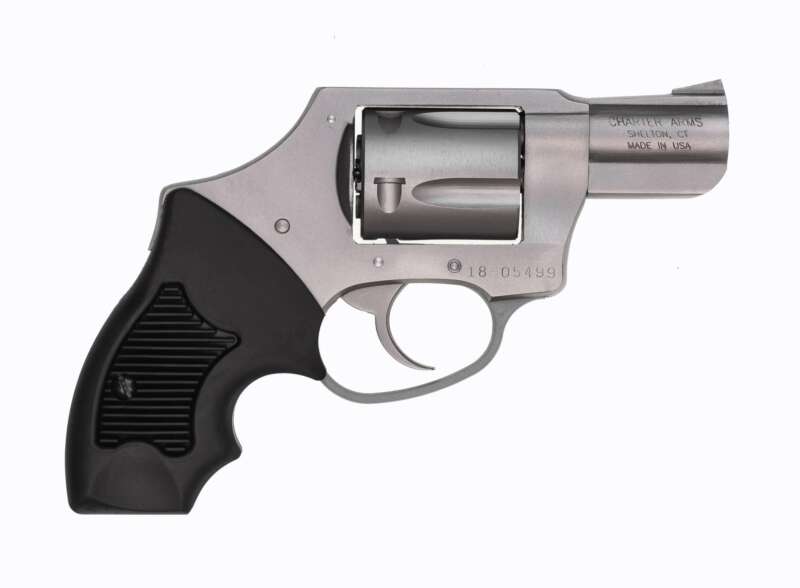 Charter Arms Charter Undercover Dao 38Sp 2"