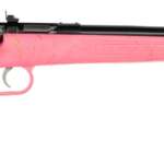 Keystone Sporting Arms Crickett 22Lr Blue Pnk/Gld Web