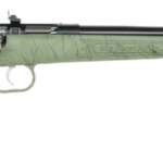 Keystone Sporting Arms Crickett 22Lr Blue Grn/BLK Web