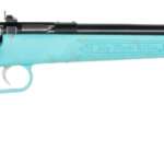 Keystone Sporting Arms Crickett 22Lr Blue Blu/Gld Web