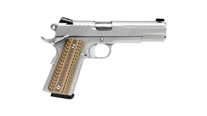 Savage 1911 Government  Stainless Steel Finish Semi-Auto Pistol