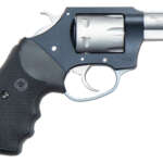 Charter Arms Pathfinder Lite 22Mag BLK/Ss