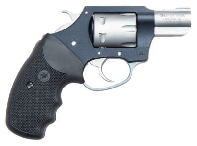 Charter Arms Pathfinder Lite 22Mag BLK/Ss