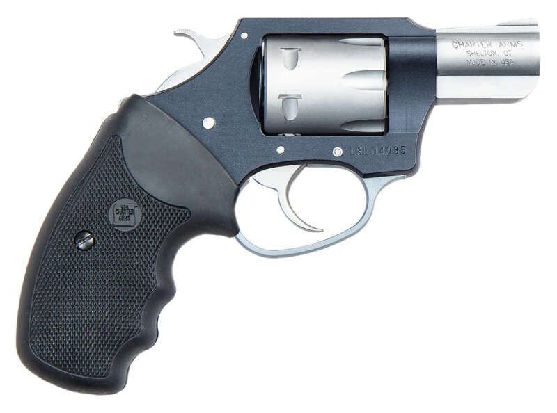 Charter Arms Pathfinder Lite 22Mag BLK/Ss