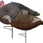 Primos Turkey Decoy Lil Gobbstopper Combo