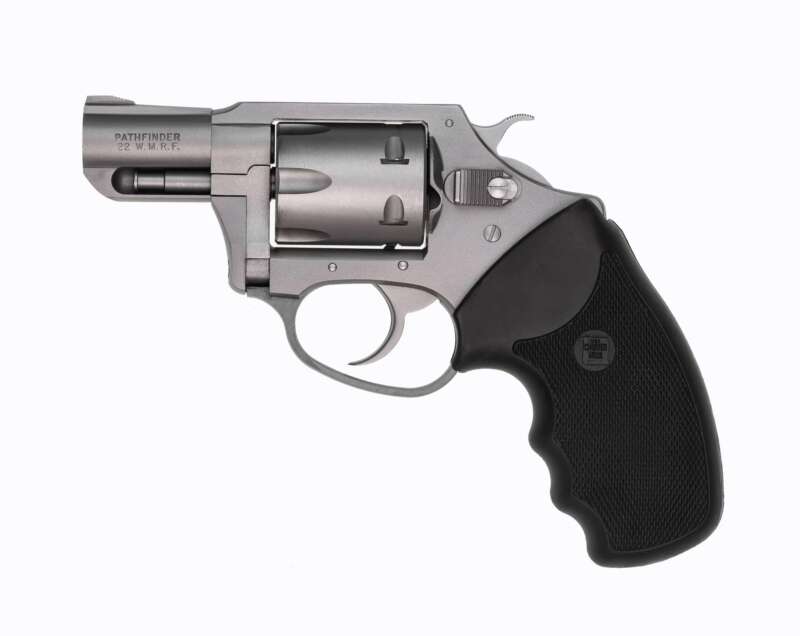 Charter Arms Charter Pathfinder 22Mag Ss 2"