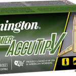 REMINGTON 17 REM 20GR ACCU-TIP - BT 20RD 10BX/CS