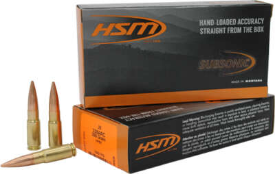 HSM 338 ARC 300GR HPBT - 20RD 25BX/CS