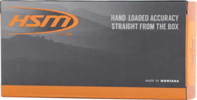 HSM SUBSONIC 45-70 GOV 550GR - HARD CAST LEAD FN 20RD 20BX/CS
