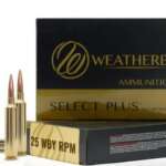 WEATHERBY AMMO 25 WBY RPM - 117GR HORNADY SST 20RD 10BX/CS