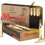 Hornady .405 Winchester 300gr Soft Point 20rd