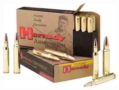 Hornady .405 Winchester 300gr Soft Point 20rd