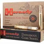 HORNADY 416 RUGER 400GR DGS - 20RD 6BX/CS