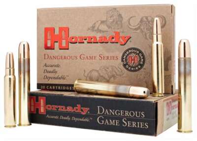 Hornady .416 Ruger 400gr DGX 20rd