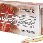 Hornady LEVERevolution 348 Win 200gr FTX 20rd