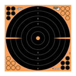 Allen Ez Aim 16"X16" Bullseye 5Pk