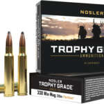 NOSLER TROPHY GRADE 338 WIN - MAG 210GR ACCUBOND 20RD 10BX/C