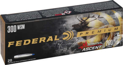 Federal .300 Winchester Short Magnum (WSM) 200 GR 20rd