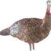 AVIAN X LCD LOOKOUT HEN DECOY
