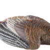 AVIAN X LCD LAYDOWN HEN DECOY