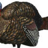 AVIAN X LCD 1/2 STRUT JAKE - DECOY