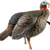 Avian X Hdr Jake Decoy