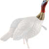 Avian X Hdr Jake Decoy