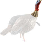 Avian X Hdr Jake Decoy