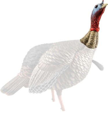 Avian X Hdr Jake Decoy