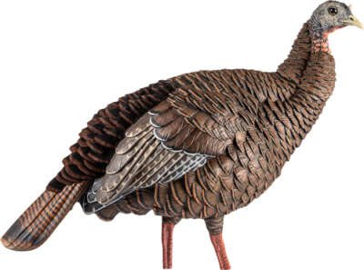 Avian X Hdr Hen Decoy