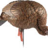 Avian X Hdr Feeding Hen Decoy