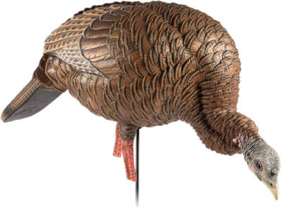 Avian X Hdr Feeding Hen Decoy