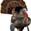 Avian X Hdr Strutter Decoy