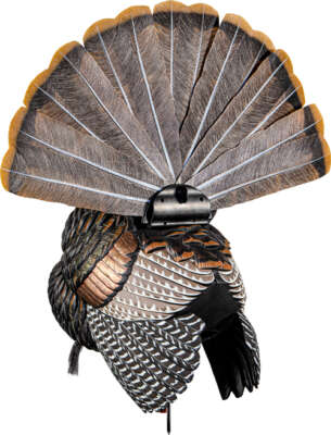 Avian X Hdr Strutter Decoy