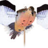 Avian X Spinning Wing Dove - Decoy
