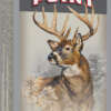 WINCHESTER SUPER-X 22-250 REM - 64GR POWER POINT 20RD 10BX/CS