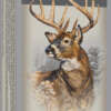 WINCHESTER SUPER-X 243 WSSM - 100GR POWER POINT 20RD 10BX/CS