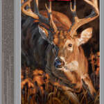 WINCHESTER DEER XP 450 BM - 250GR XP 20RD 10BX/CS