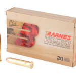 Barnes Pioner 45-70 300gr Tsx 20/200